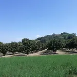 Il Melo Antico - In D'epoca Nel Cuore Del Monferrato *