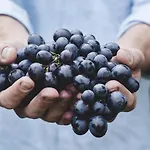 Il Melo Antico - In D'epoca Nel Cuore Del Monferrato Διαμέρισμα *