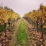 Il Melo Antico - In D'epoca Nel Cuore Del Monferrato Διαμέρισμα Acqui Terme