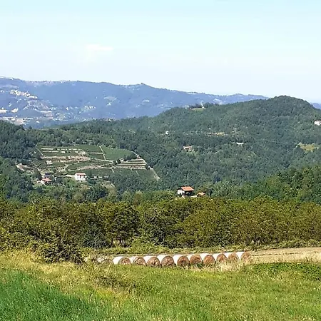 Il Melo Antico - In D'epoca Nel Cuore Del Monferrato Appartamento