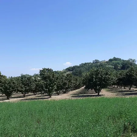 Il Melo Antico - In D'epoca Nel Cuore Del Monferrato *