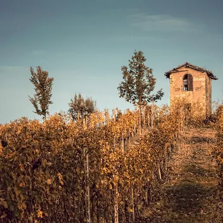 Il Melo Antico - In D'epoca Nel Cuore Del Monferrato Apartment Acqui Terme