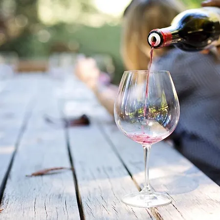 Il Melo Antico - In D'epoca Nel Cuore Del Monferrato アパート