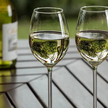 Il Melo Antico - In D'epoca Nel Cuore Del Monferrato Lägenhet Acqui Terme