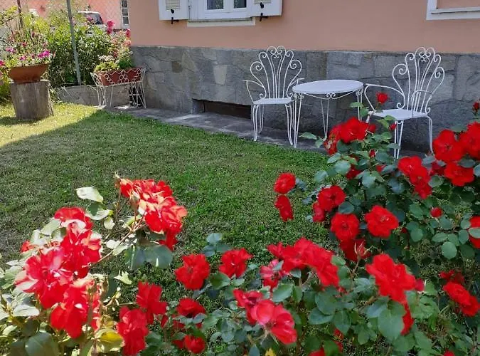 Il Melo Antico - In D'epoca Nel Cuore Del Monferrato Apartmán Acqui Terme