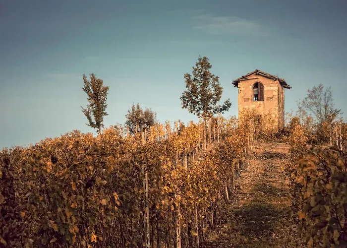 Il Melo Antico - In D'epoca Nel Cuore Del Monferrato Apartmán Acqui Terme